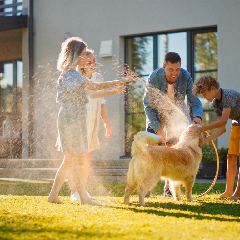 AquaHub Entire Home - Water Filters